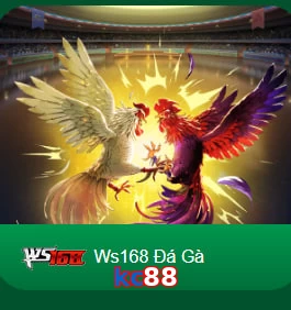 kc88
